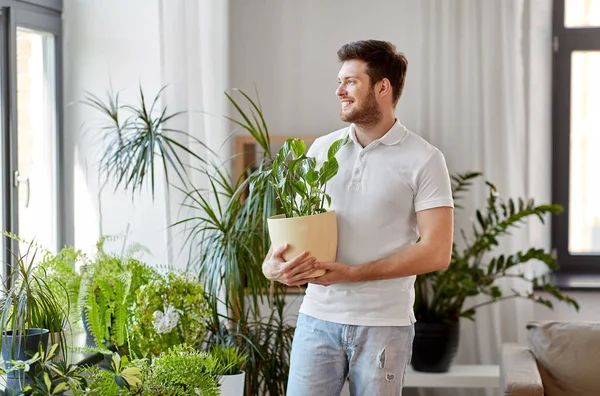 Man med blomma tar hand om krukväxter hemma — Stockfoto