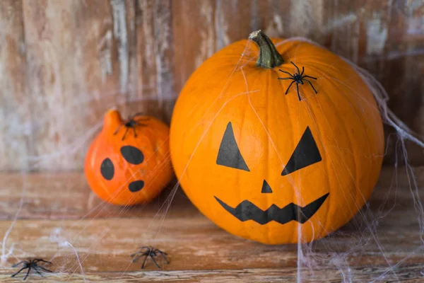 Halloween pompoenen met spinnen en spinnenweb — Stockfoto