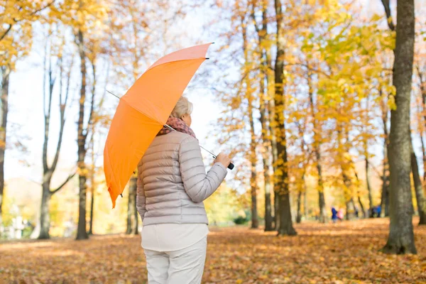 Senior nő esernyővel őszi parkban — Stock Fotó