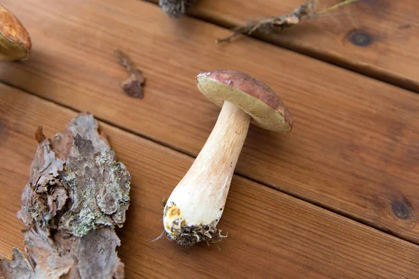 Boletus edulis μανιτάρι και φλοιός πεύκου σε ξύλο — Φωτογραφία Αρχείου