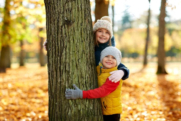 快乐的孩子们在秋天的公园里偷窥树木 — 图库照片