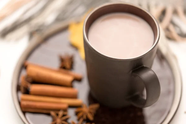 Close up de xícara de chocolate quente com canela — Fotografia de Stock