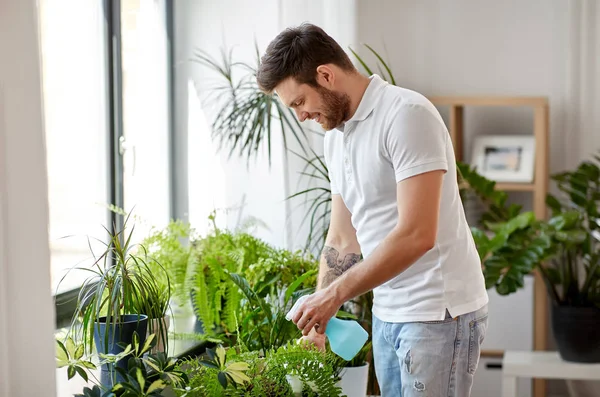 Hombre rociando plantas de interior con agua en casa — Foto de Stock