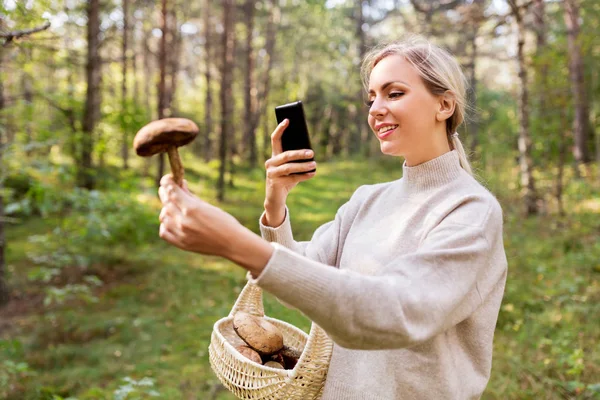 Mantarı tanımlamak için akıllı telefon kullanan kadın. — Stok fotoğraf