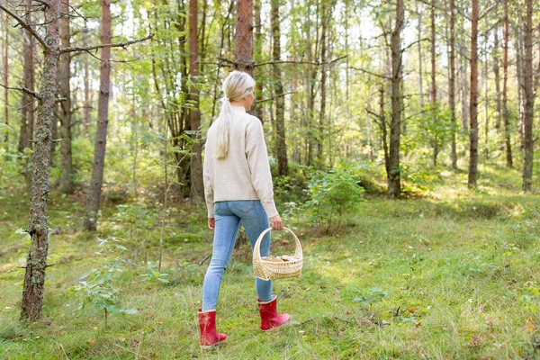 年轻女子在秋天的森林里采摘蘑菇 — 图库照片