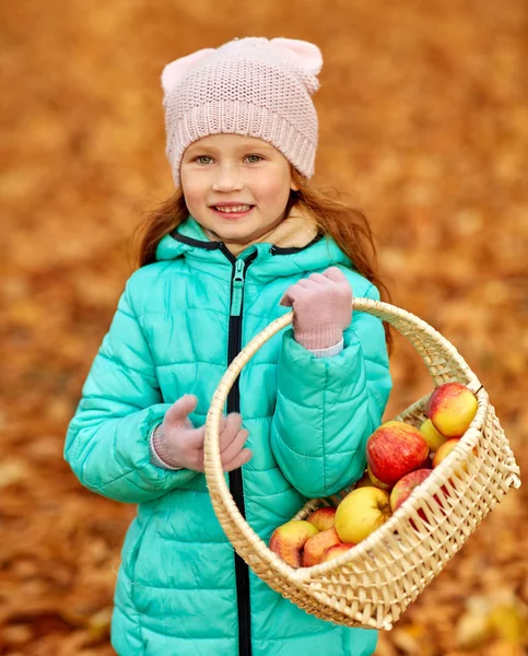 Menina com maçãs em cesta de vime no parque de outono — Fotografia de Stock