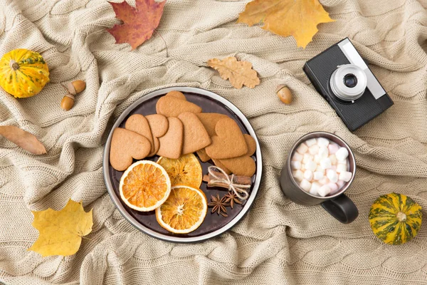 Pão de gengibre, chocolate quente e câmera no outono — Fotografia de Stock