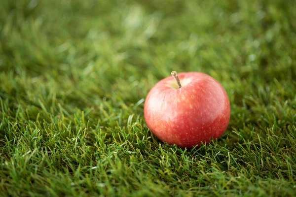 인공 잔디에 붙어 있는 익은 붉은 사과를 가까이 서 본 모습 — 스톡 사진