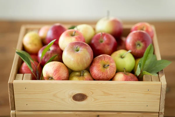 Reife Äpfel in Holzkiste auf Tisch — Stockfoto