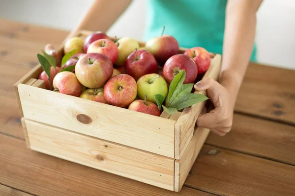 Frau mit Holzkiste mit reifen Äpfeln — Stockfoto