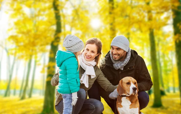 Família feliz com cão beagle no parque de outono — Fotografia de Stock