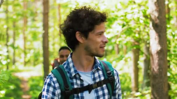 Grupa przyjaciół z plecakami spacerujących po lesie — Wideo stockowe