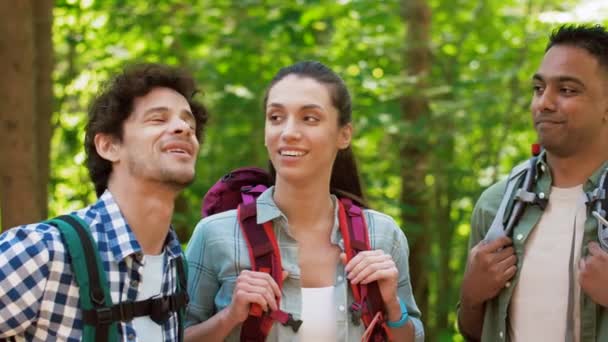 Amigos con mochilas en caminata hablando en el bosque — Vídeos de Stock