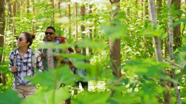 Groep vrienden met rugzakken wandelen in het bos — Stockvideo