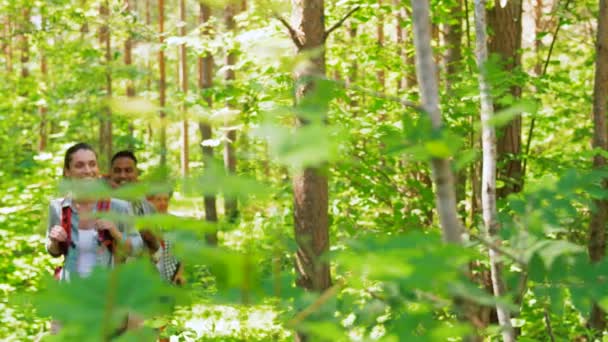 Группа друзей с рюкзаками походы в лес — стоковое видео