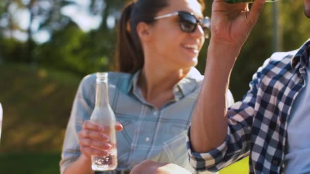 Amis boire de la bière et du cidre à l'extérieur — Video