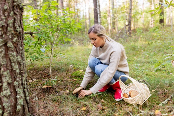 Mujer joven recogiendo setas en el bosque de otoño — Foto de Stock