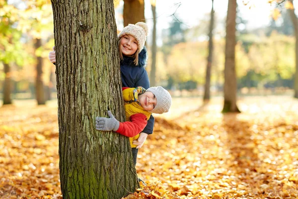 Gelukkige kinderen gluuren uit boom in de herfst park — Stockfoto