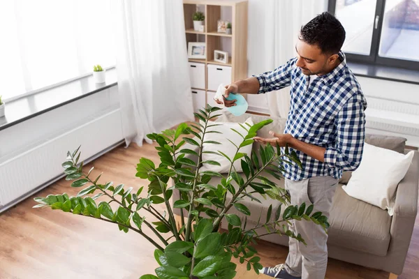 Чоловік обприскує кімнатну рослину водою вдома — стокове фото