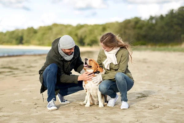 Счастливая пара с собакой на осеннем пляже — стоковое фото