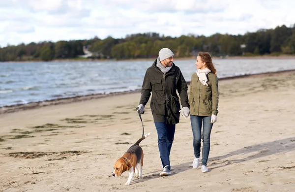 Paar mit Beagle-Hund geht am Herbststrand spazieren — Stockfoto