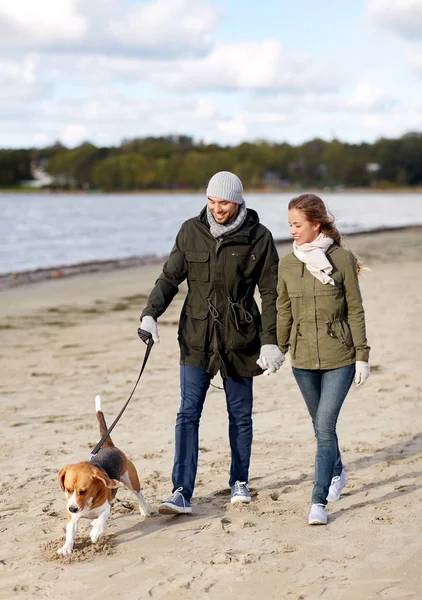 Пара с собакой, гуляющая по осеннему пляжу — стоковое фото