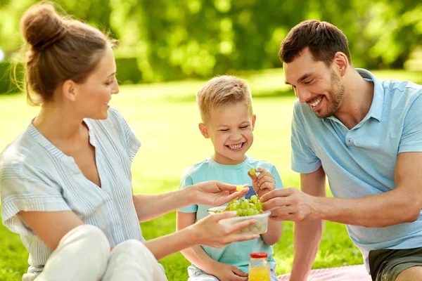 Família feliz fazendo piquenique no parque de verão — Fotografia de Stock