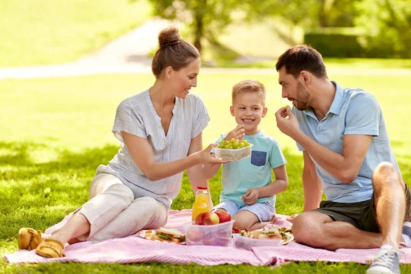 Happy family having picnic at summer park — Stock Photo, Image