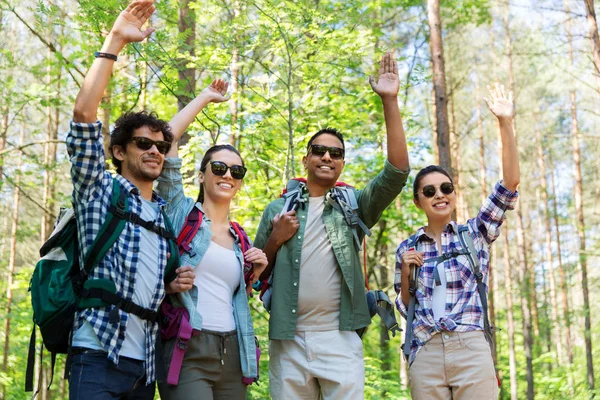 Skupina přátel s batohy turistika v lese — Stock fotografie