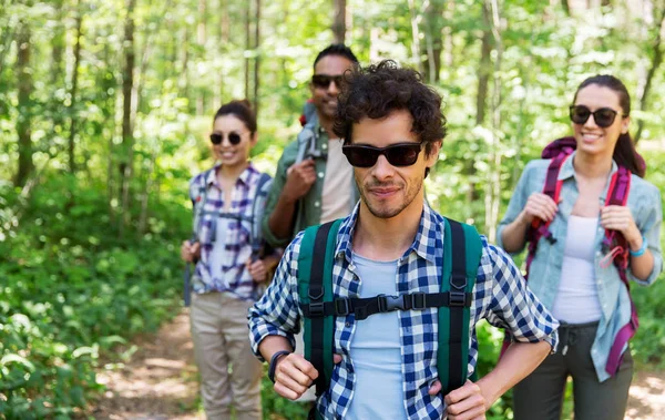 Groep vrienden met rugzakken wandelen in het bos — Stockfoto
