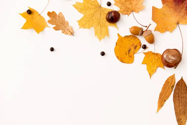 Hojas de otoño, castañas, bellotas y garbanzos — Foto de Stock