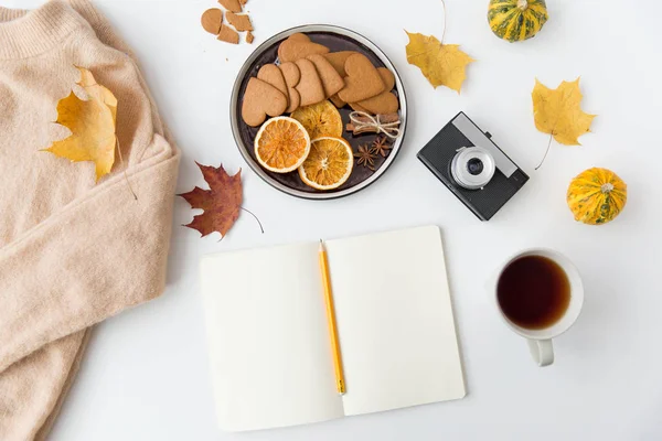 Notebook, horká čokoláda, fotoaparát a podzimní listy — Stock fotografie