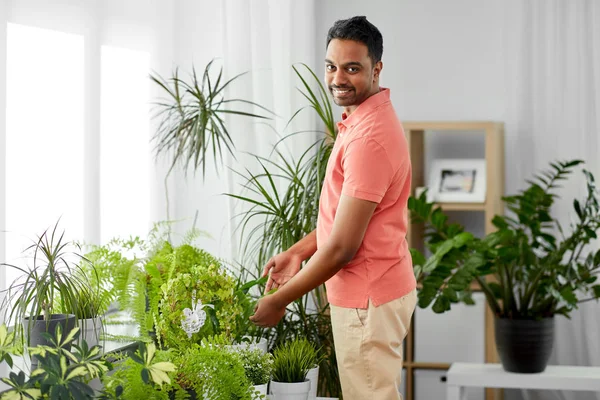 Indianer kümmert sich zu Hause um Zimmerpflanzen — Stockfoto