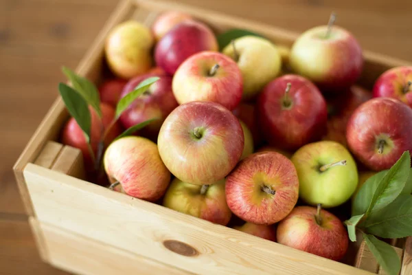 Reife Äpfel in Holzkiste auf Tisch — Stockfoto