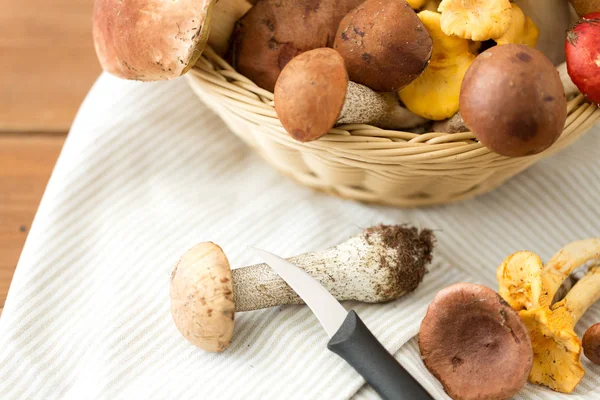 Cesta de diferentes cogumelos comestíveis e faca — Fotografia de Stock