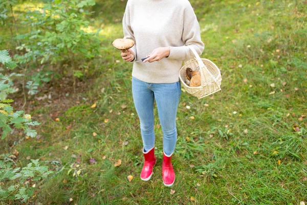 Donna con cesto raccolta funghi nel bosco — Foto Stock