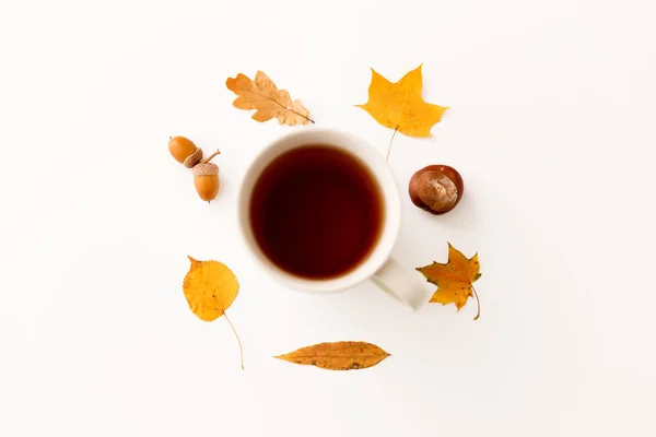 Taza de té, hojas de otoño, bellotas y castañas — Foto de Stock