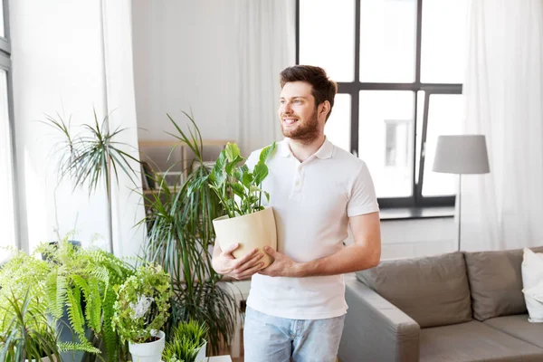 Чоловік з квіткою доглядає за кімнатними рослинами вдома — стокове фото
