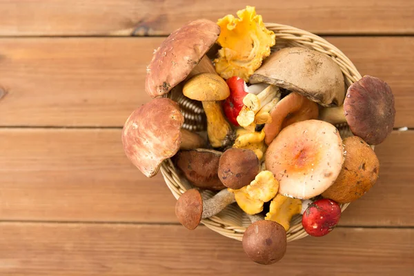 Mand van verschillende eetbare paddenstoelen op hout — Stockfoto