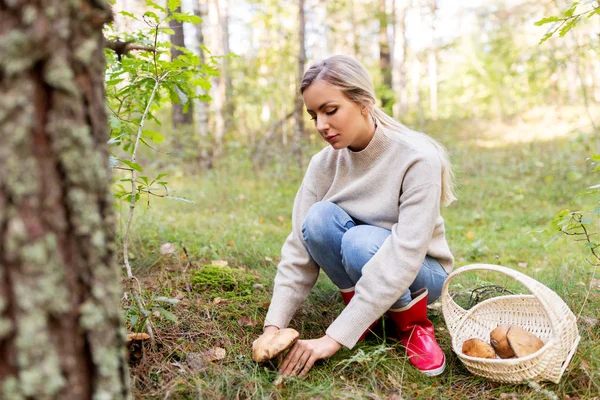 Giovane donna che raccoglie funghi nella foresta autunnale — Foto Stock