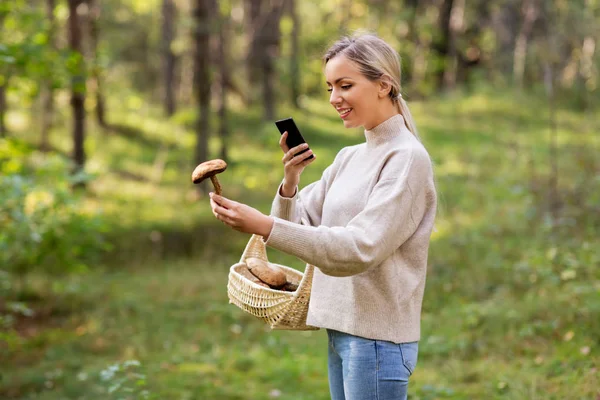 Vrouw met smartphone om paddestoel te identificeren — Stockfoto