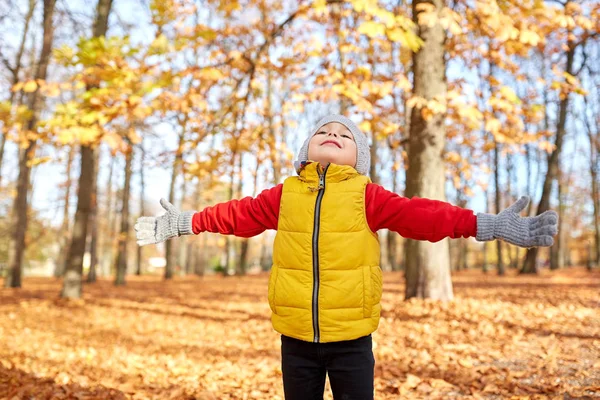 Šťastný chlapeček v podzimní park — Stock fotografie