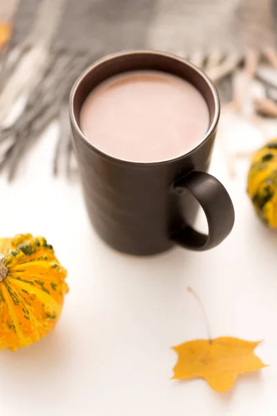 Warme chocolademelk, herfstbladeren en warme deken — Stockfoto