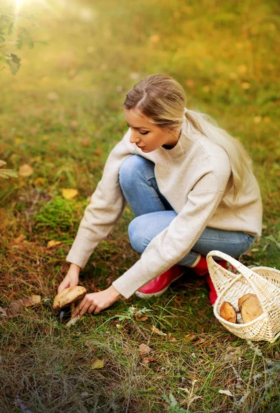 Jovem mulher pegando cogumelos na floresta de outono — Fotografia de Stock