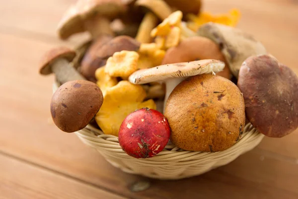 Cestino di diversi funghi commestibili su legno — Foto Stock