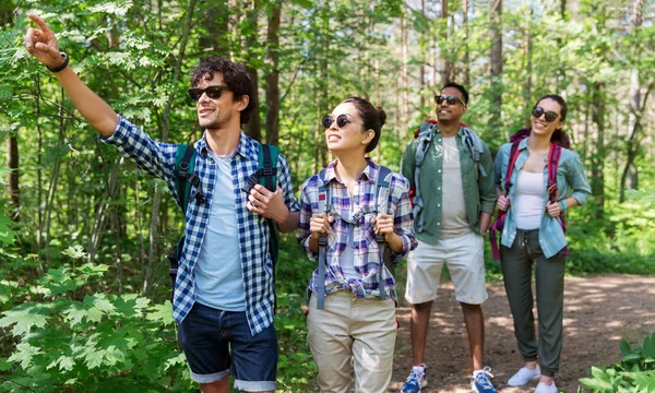 Skupina přátel s batohy turistika v lese — Stock fotografie