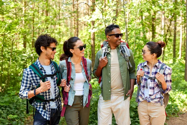 Vrienden met rugzakken op wandeling praten in het bos — Stockfoto