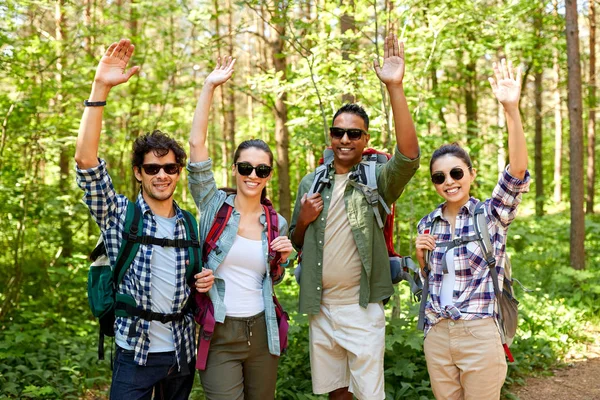 Grupo de amigos con mochilas senderismo en el bosque —  Fotos de Stock