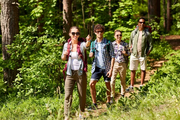 Gruppo di amici con zaini escursioni nella foresta — Foto Stock