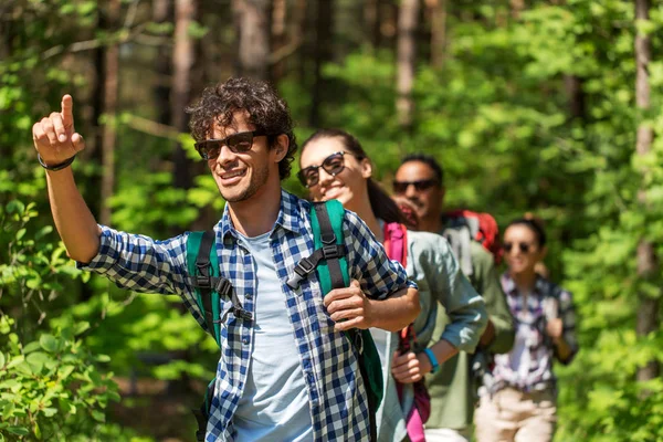 Skupina přátel s batohy turistika v lese — Stock fotografie